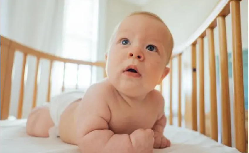 同輝家政 同輝家政