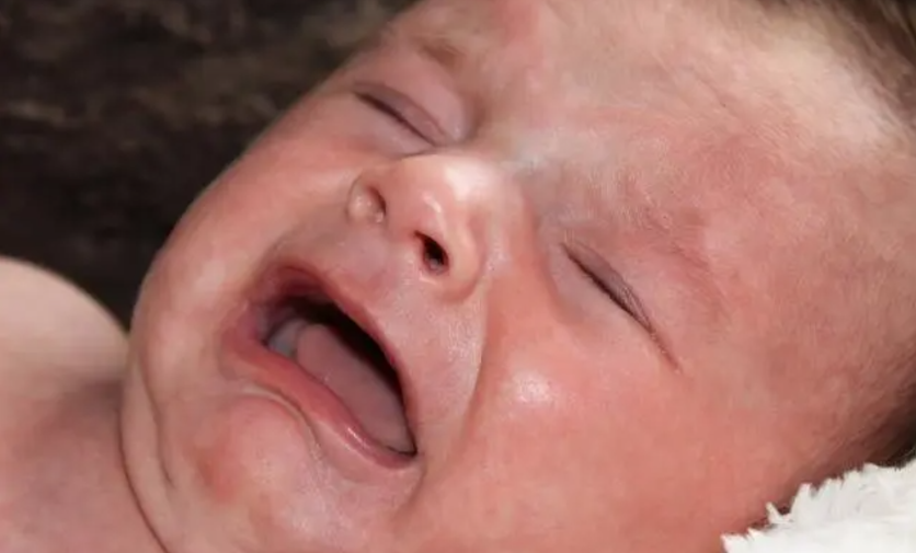 同輝家政 同輝家政